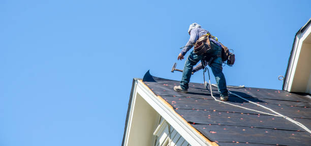 Best Roof Replacement Cost  in Belgium, WI
